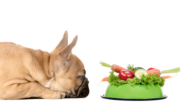 Welke groenten mag mijn hond eten en welke niet?